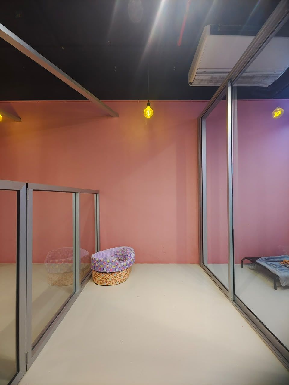 Private boarding suites with soft beds and warm lighting